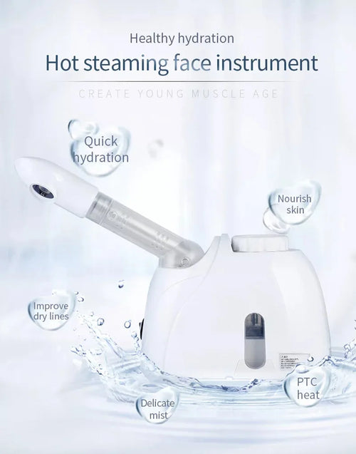Haus of Glow SpaMist Facial Steamer